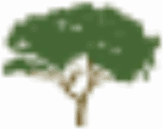 ECO VILA