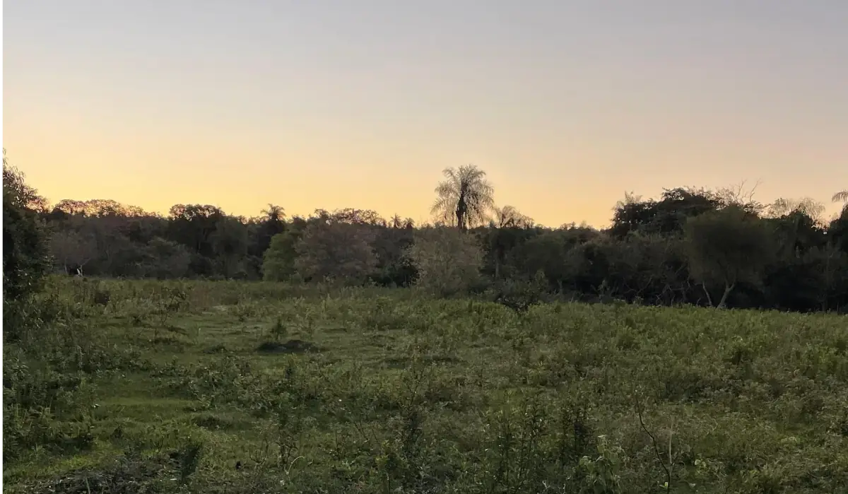 Propiedad de 7 hectáreas en Atyra 🍃🌳☀️ con cascada - Image 6