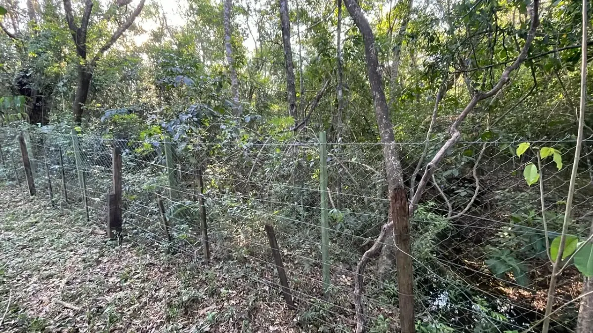 Vendo 4,5 hectáreas en Piribebuy 🤩🌳 con manantial, arroyo y pileta - Image 14
