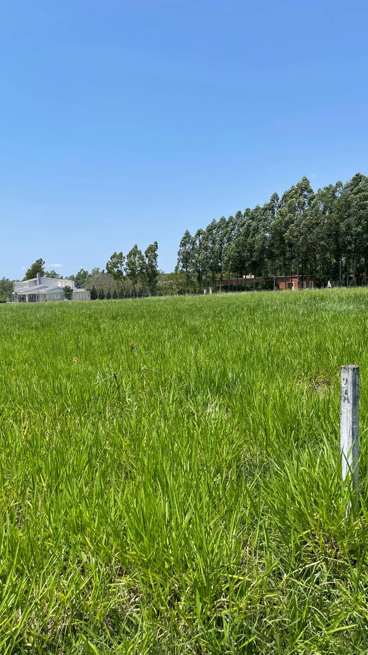 Vendo hermoso terreno en Surubi'i 🌳 - Image 3