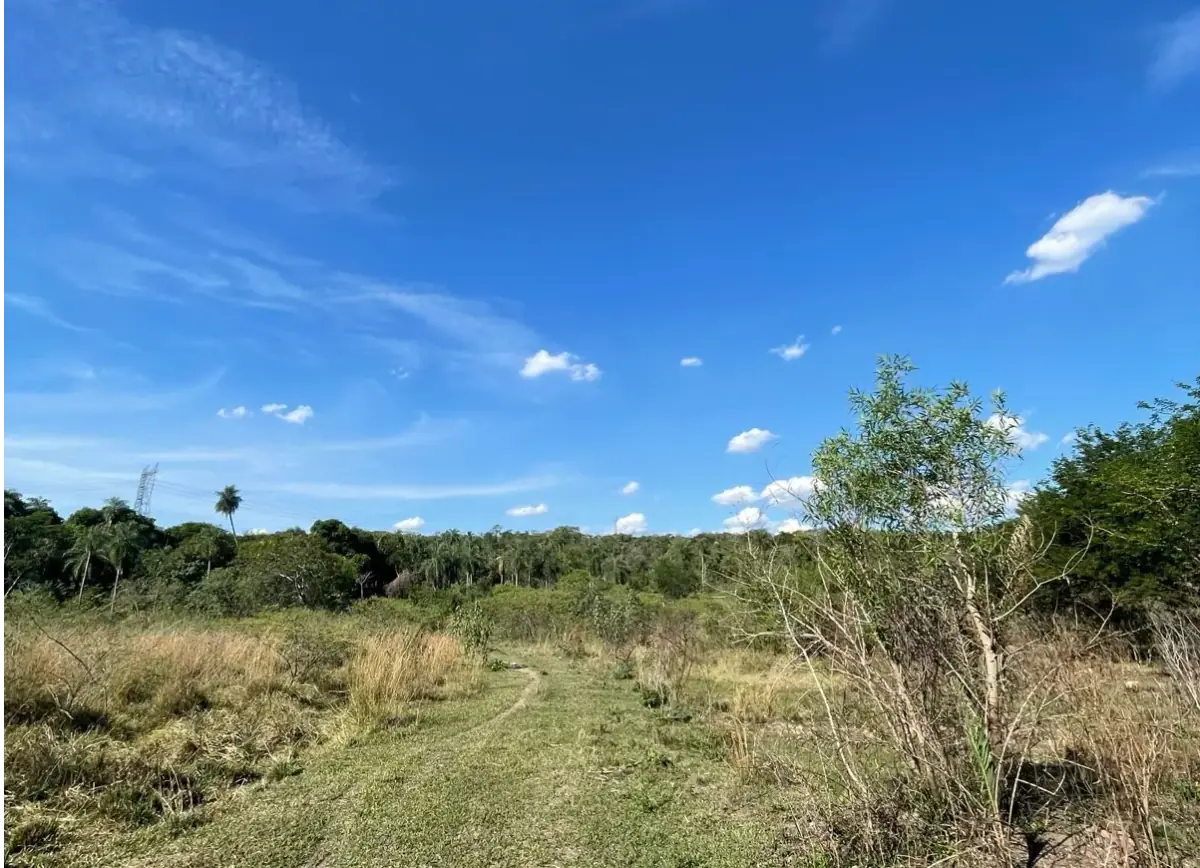 VENDO HERMOSA PROPIEDAD EN EMBOSCADA 20 hectareas A 3 km de la ruta - Image 9