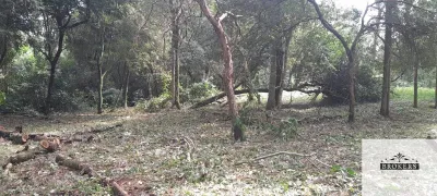 Terreno de 1.600m² à Venda em Villa Ygatimí, Villa Ygatimí
