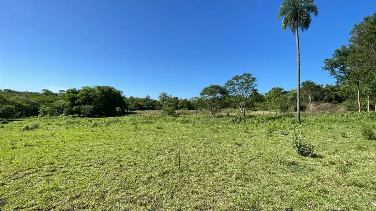 Campo de 8,9 ha en Caballero | 22-acre farm 2 hours from Asunción - Image 13