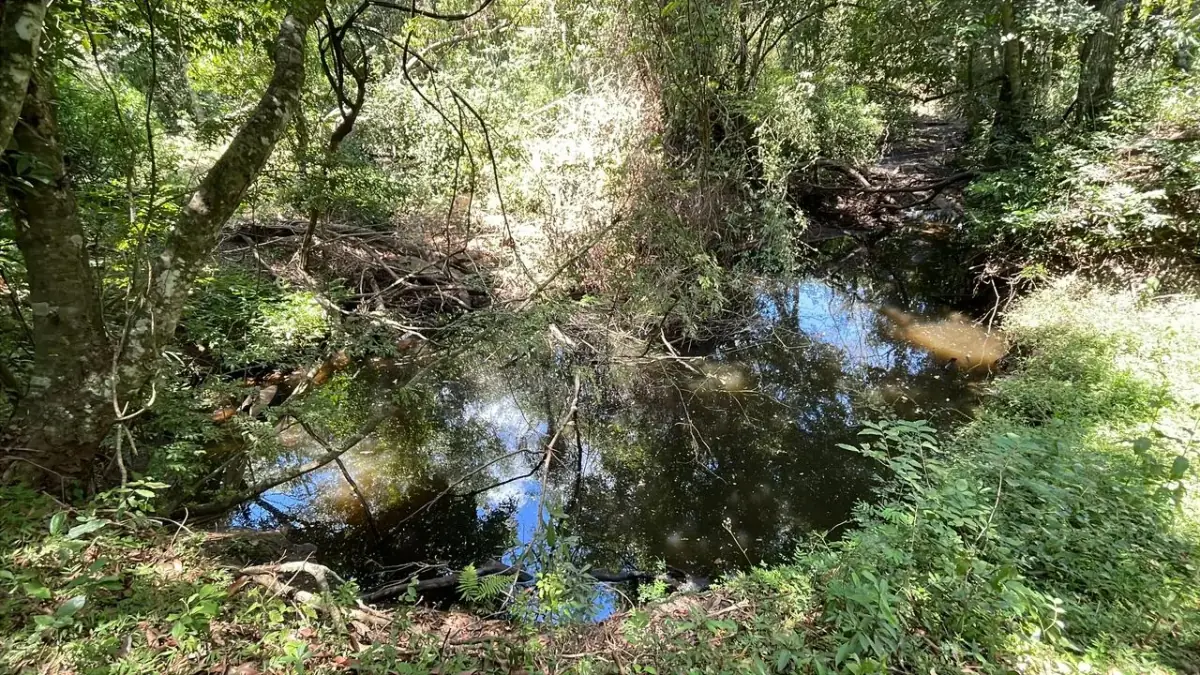 17,7 ha 44-acre farm with two streams & pond | 2 arroyos en Sapucai - Image 3