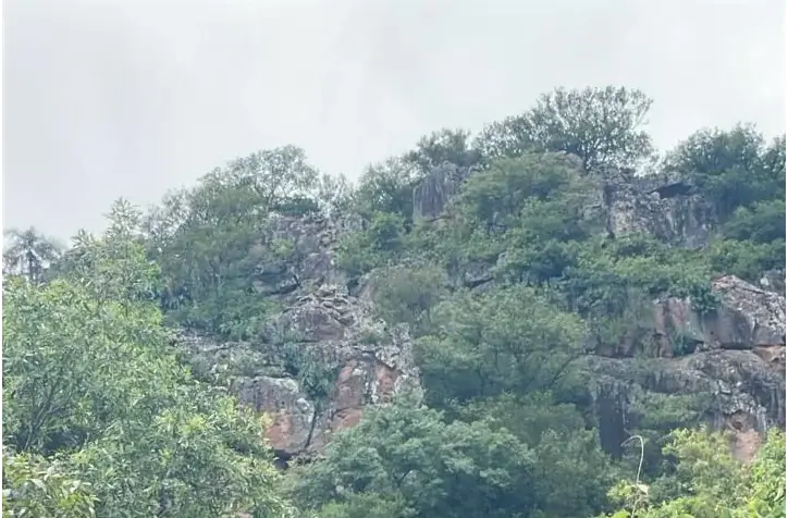 Vendo 14,6 hectáreas en Caacupé con vista al Cerro Kavaju - Image 5