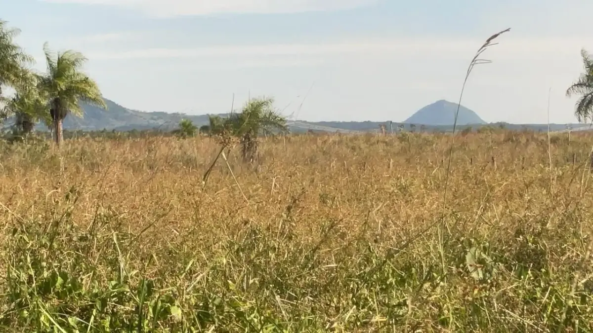 Campo de 34 Hectáreas con arroyo y vistas en Venta en Acahay, Paraguay - Image 5