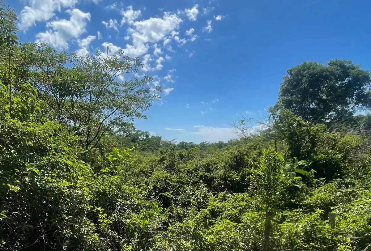 VENDO 9 HECTAREAS EN ATYRA 🍃🌳  📍A 4 km del casco urbano - Image 12
