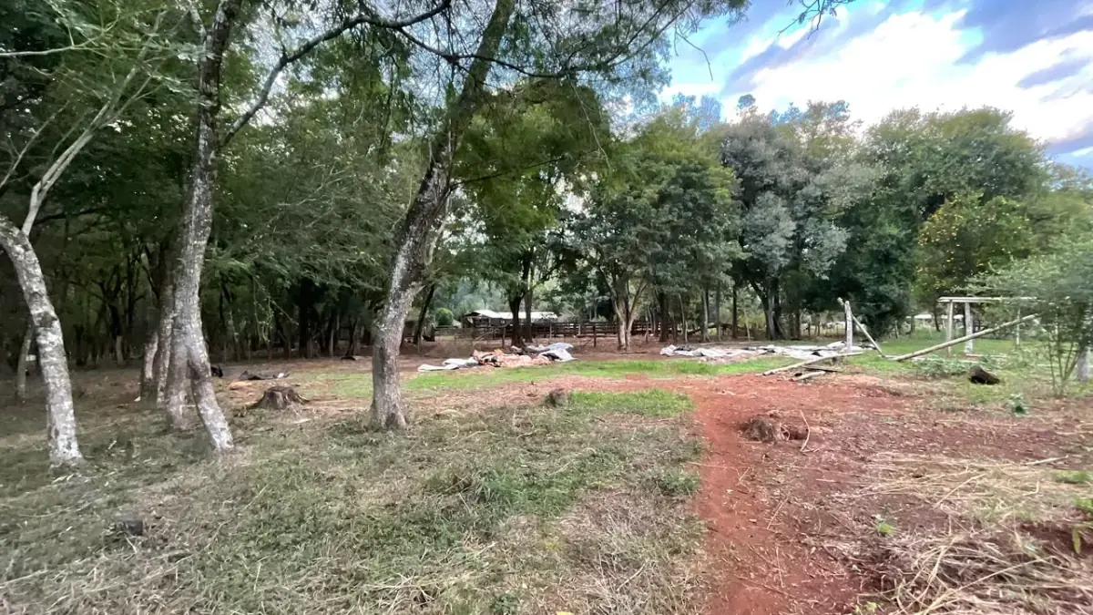 Finca en venta 43 hectáreas con manantial y arroyo en Independencia - Image 15