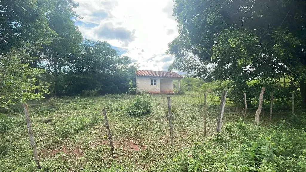 12.6-Hectare 31.1-acre Farm with House in Carapeguá - Image 5