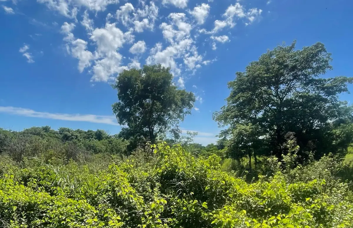 VENDO 9 HECTAREAS EN ATYRA 🍃🌳  📍A 4 km del casco urbano - Image 5