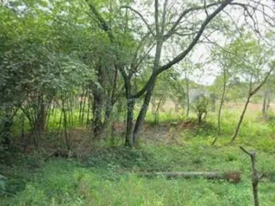Terreno de 1,154.55m² en Venta en Marín Ka'aguy, Luque