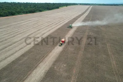 Terreno de 12.000m² à Venda em Coronel Mongelos, Yasy Cañy