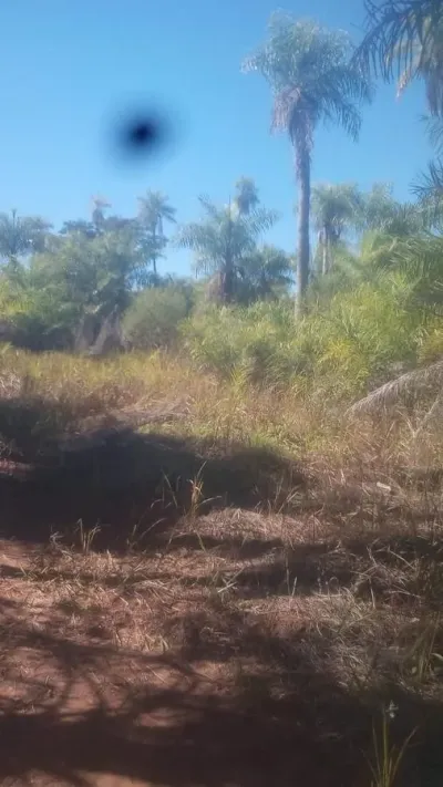 10,000m² Land for Sale in Limpio