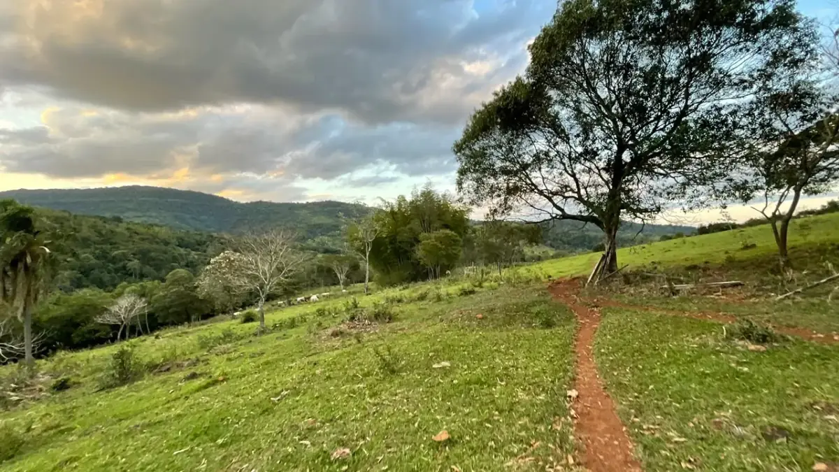 Finca en venta 43 hectáreas con manantial y arroyo en Independencia