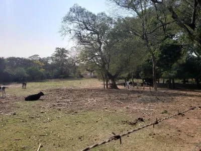 13,436m² Lot for Sale in San Lorenzo