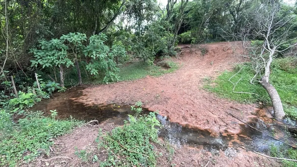 Inversión Agropecuaria en Paraguay: 90 Ha en Acahay con arroyo - Image 8