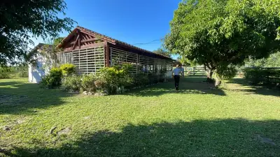 114hectare 282acre cattle ranch with a stream in Caapucu, Paraguari