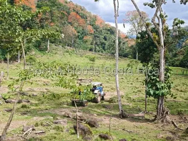 MLS-26-1444 Land of 644,346m² for Sale in Murcia, Turrialba - Image 10