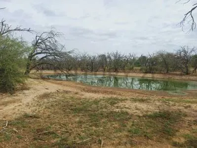Terreno de 74.743m² en Venta en Colonia Menno, Teniente 1° Manuel Irala Fernández