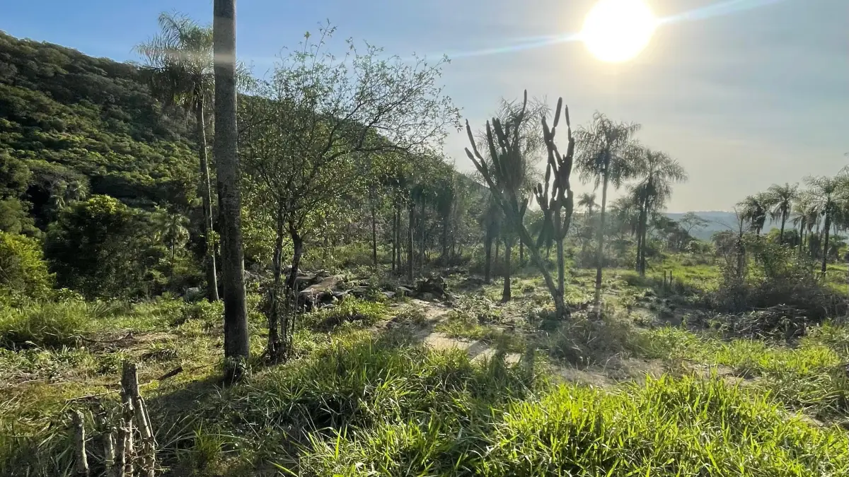 Vendo 20,3 hectáreas en Caacupe, Cordillera con agua y cerro - Image 15
