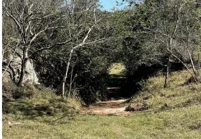 Vendo 12 hectáreas en Piribebuy con cerro y naciente