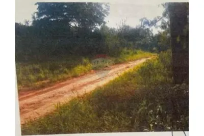 Terreno de 50,000m² en Venta en San Antonio, Yasy Cañy