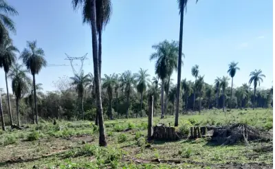 Vendo propiedad de 2 hectáreas en Atyra Ideal para granja