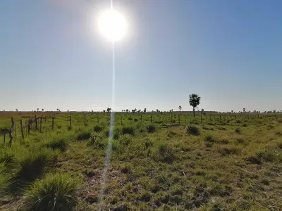 Terreno de 262m² en Venta en Nueva Italia