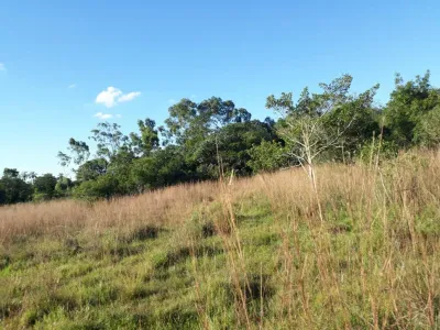 Terreno en Venta en San Bernardino
