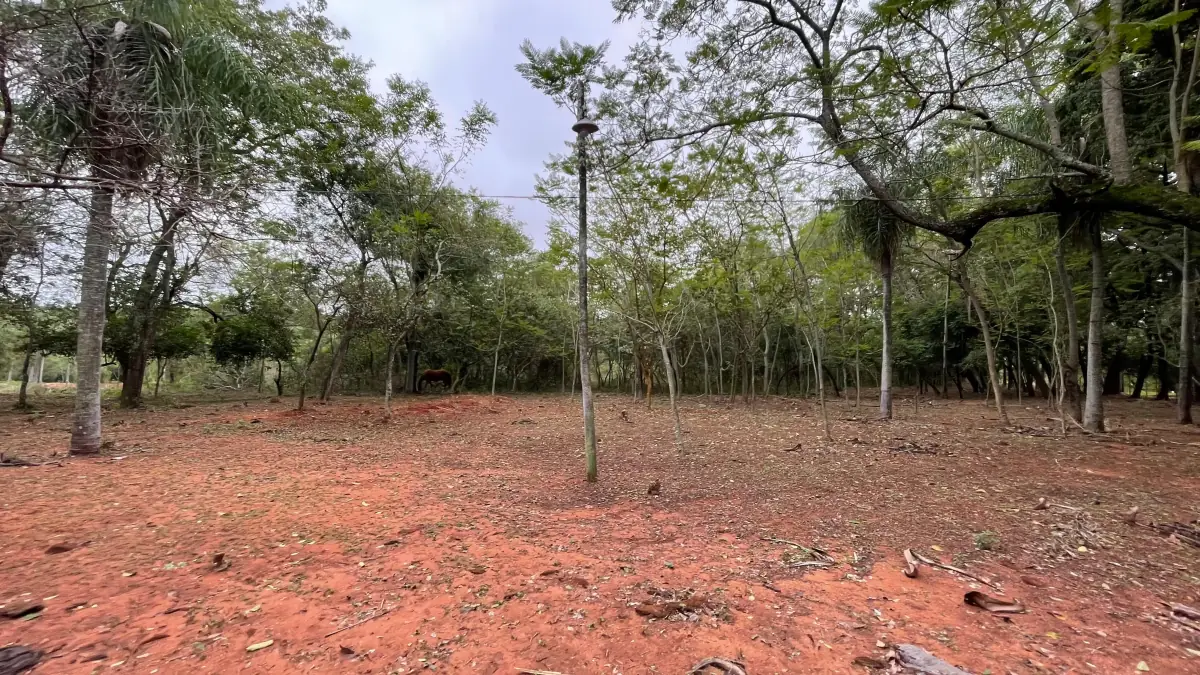 Vendo 9 hectáreas Quiindy a 2,5 km de la ruta 1 - Image 9