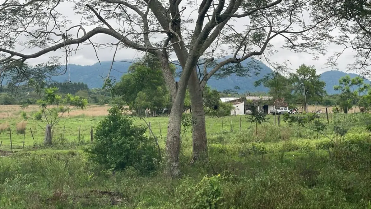 Inversión Agropecuaria en Paraguay: 90 Ha en Acahay con arroyo - Image 14