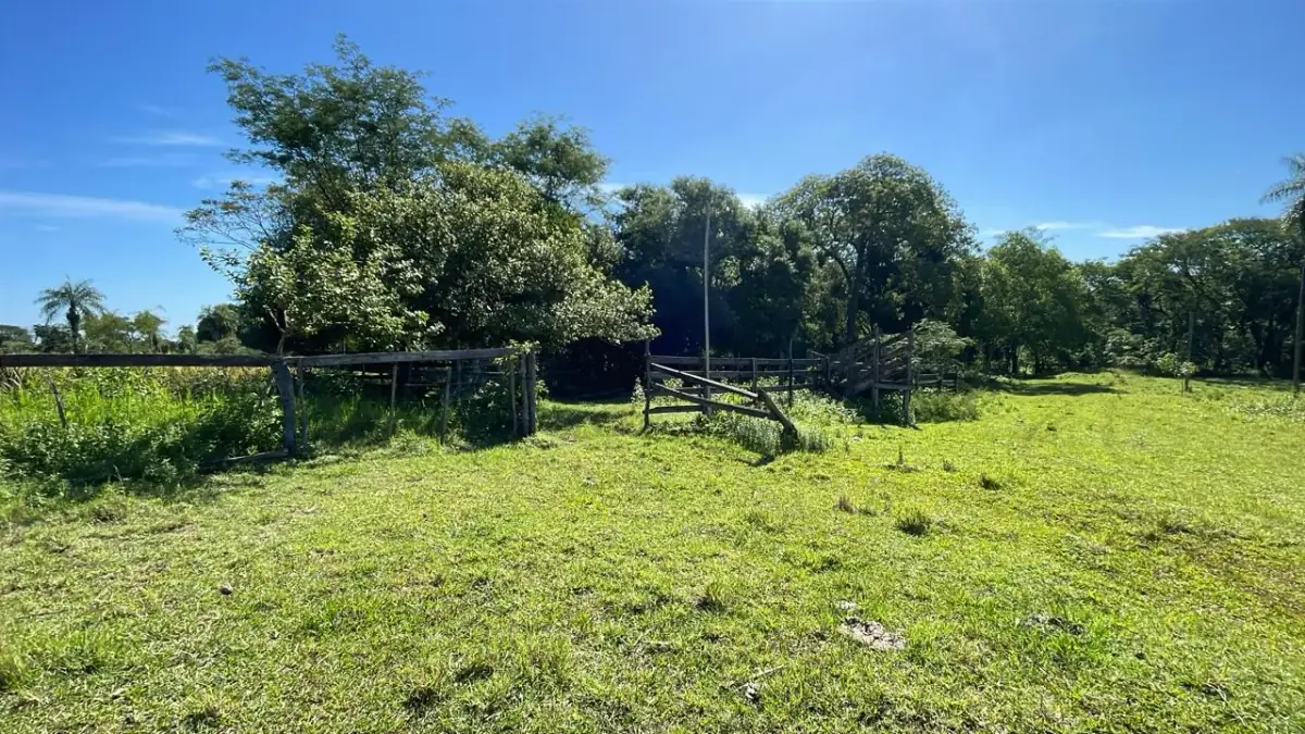 Campo de 8,9 ha en Caballero | 22-acre farm 2 hours from Asunción - Image 9