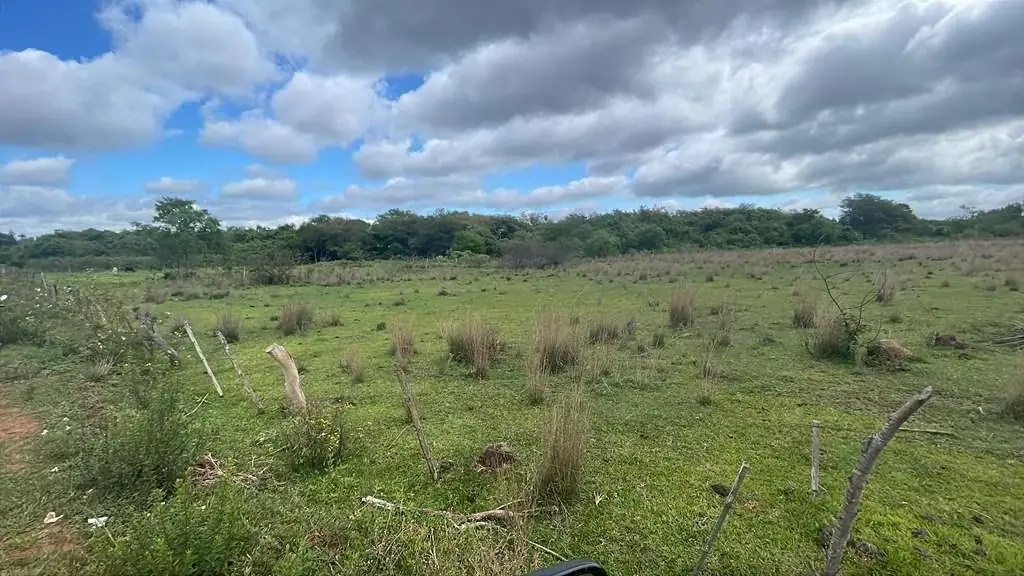 12.6-Hectare 31.1-acre Farm with House in Carapeguá - Image 7