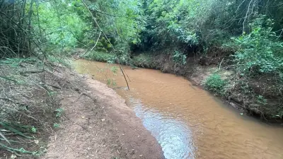 Inversión Agropecuaria en Paraguay: 90 Ha en Acahay con arroyo