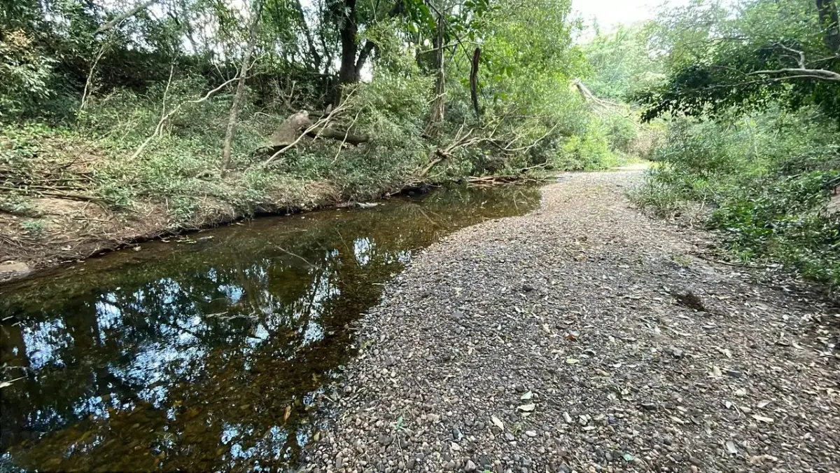 17,7 ha 44-acre farm with two streams & pond | 2 arroyos en Sapucai - Image 10