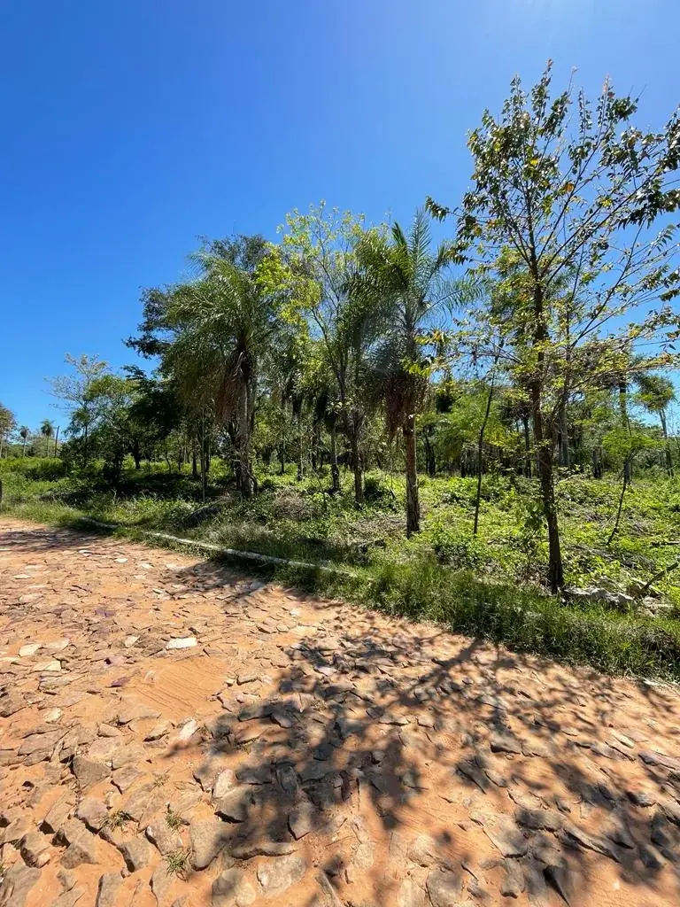 Vendo hermoso terreno arbolado en San Bernardino  Zona Anfiteatro