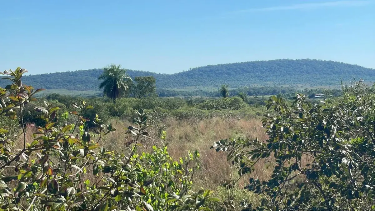 114hectare 282acre cattle ranch with a stream in Caapucu, Paraguari - Image 10