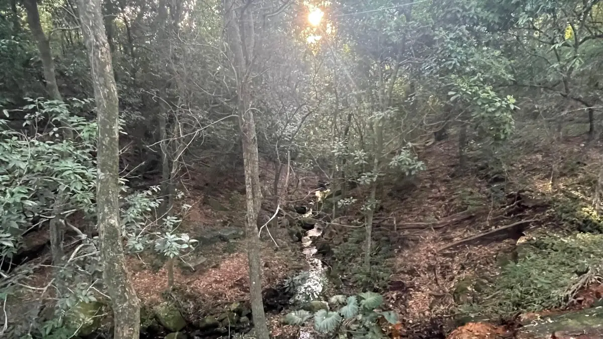 Vendo 20,3 hectáreas en Caacupe, Cordillera con agua y cerro - Image 2