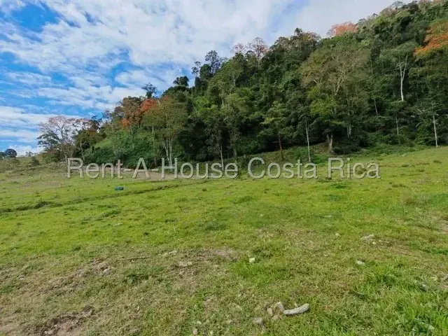 MLS-26-1444 Land of 644,346m² for Sale in Murcia, Turrialba - Image 7