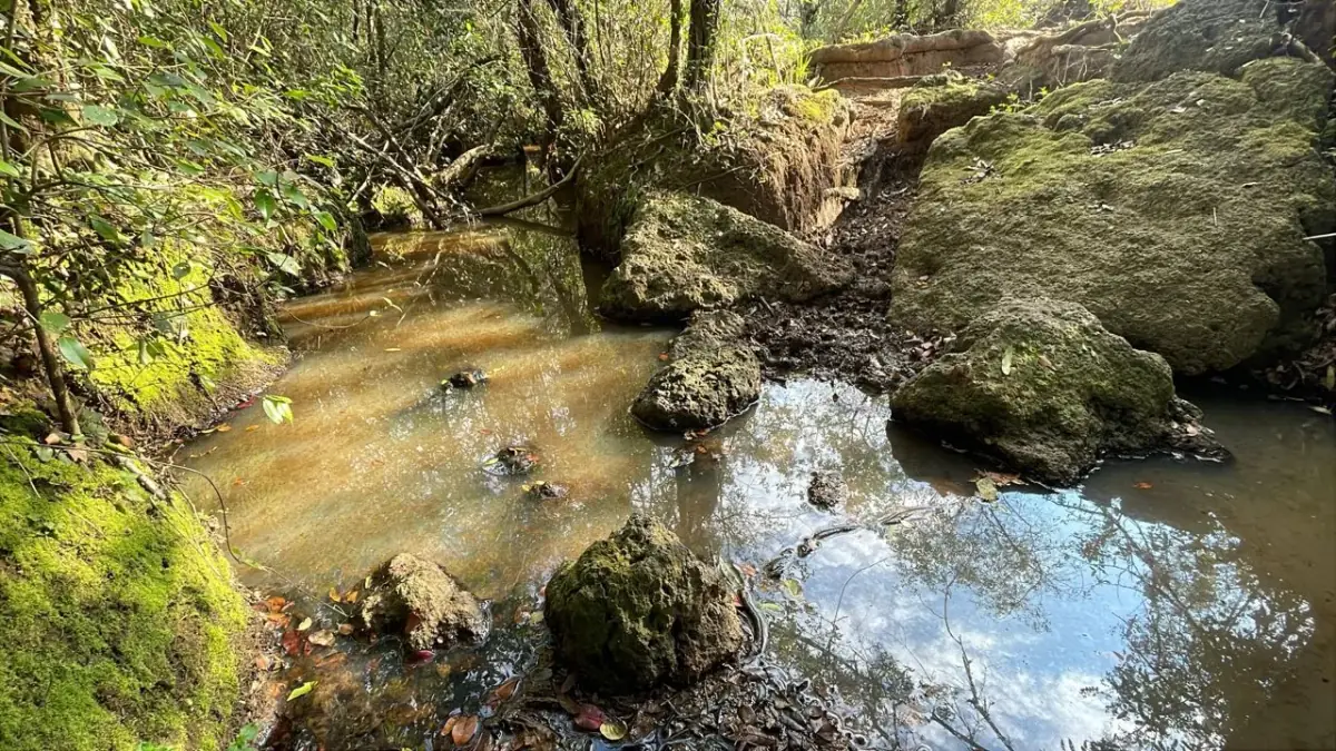 Vendo propiedad de 22 hectáreas en Tobati ⛰️🪵🧱🌱 - Image 10