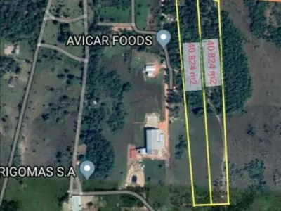 Terreno de 80.000m² à Venda em Salado, Limpio