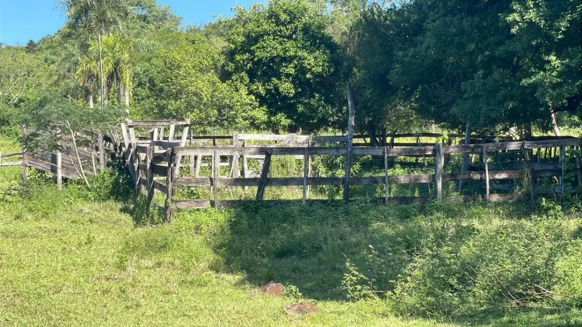 Campo de 8,9 ha en Caballero | 22-acre farm 2 hours from Asunción - Image 3