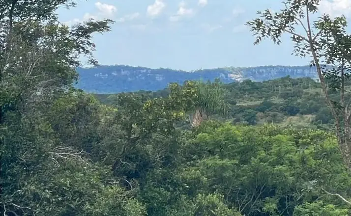 Campo 10 ha con vistas en Piribebuy | 25-acre land 1h45 from Asunción - Image 14