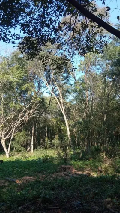 Terreno en Venta en Centro, Caacupé