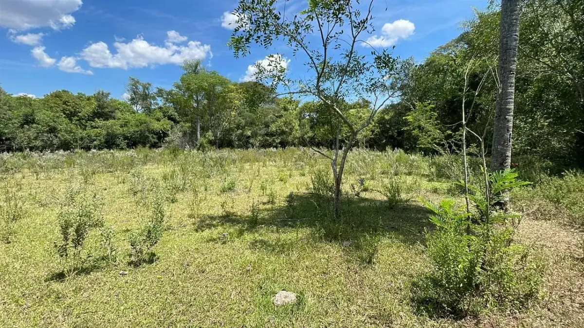 17,7 ha 44-acre farm with two streams & pond | 2 arroyos en Sapucai - Image 8
