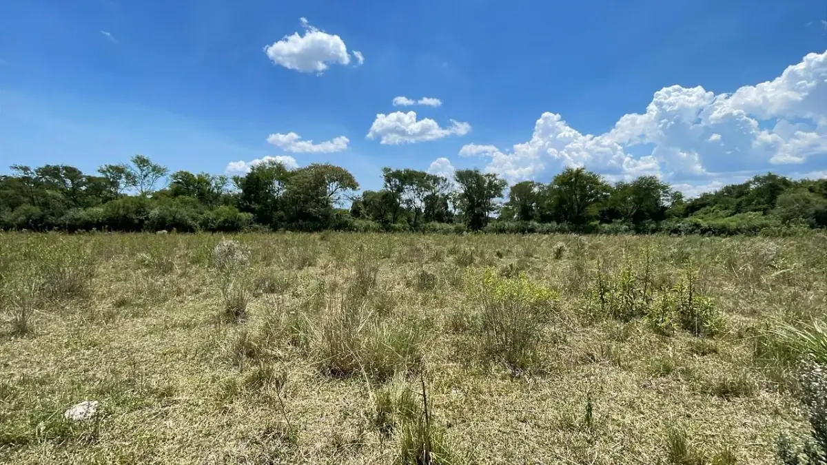 17,7 ha 44-acre farm with two streams & pond | 2 arroyos en Sapucai - Image 14