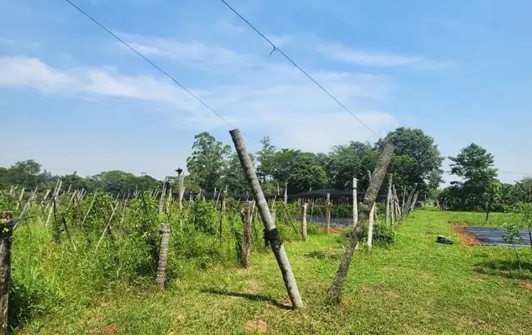 Vendo 5,5 hectareas en Caraguatay Fulgencio Yegros A 1000m del asfalto - Image 9