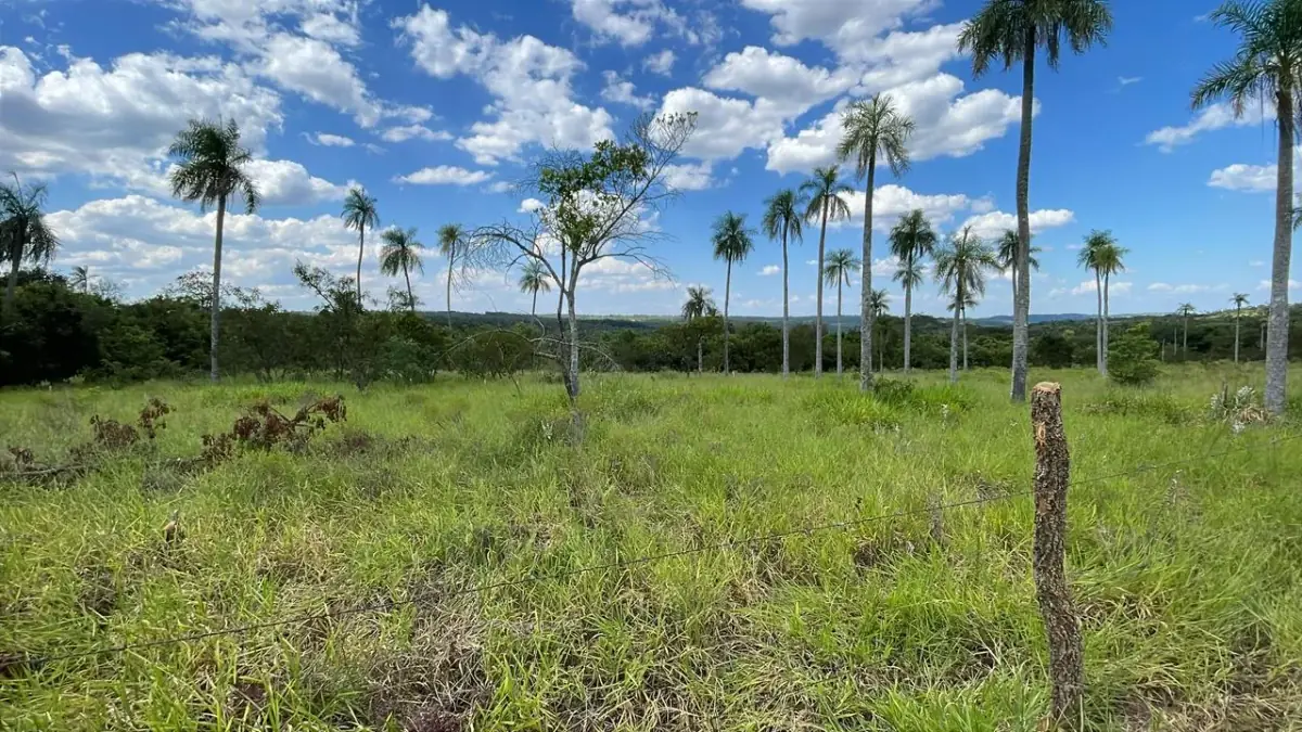 Campo 10 ha con vistas en Piribebuy | 25-acre land 1h45 from Asunción - Image 2