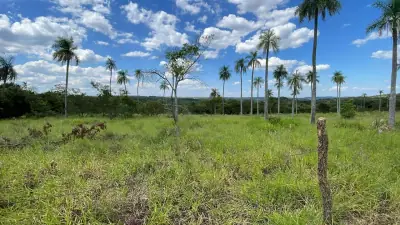 Campo 10 ha con vistas en Piribebuy | 25-acre land 1h45 from Asunción