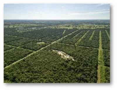 Terreno de 3,060m² en Venta en Cruce Filadelfia, Filadelfia
